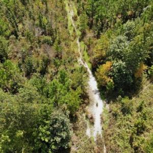 Photo of SOLD!!  61.12 Acres of Hunting Land for Sale in Greensville County VA!