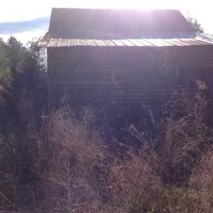 Photo of SOLD!!  8 Acres of Hunting Land for Sale in Halifax County VA!