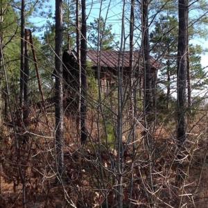 Photo of SOLD!!  8 Acres of Hunting Land for Sale in Halifax County VA!