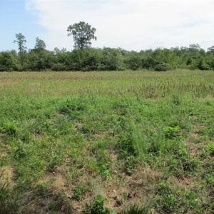 Photo of SOLD!  68 Acres of Riverfront Recreational Land For Sale in King and Queen County VA!