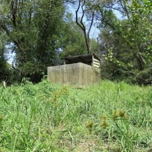 Photo of SOLD!  68 Acres of Riverfront Recreational Land For Sale in King and Queen County VA!