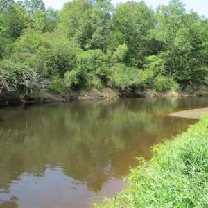 Photo of SOLD!  68 Acres of Riverfront Recreational Land For Sale in King and Queen County VA!