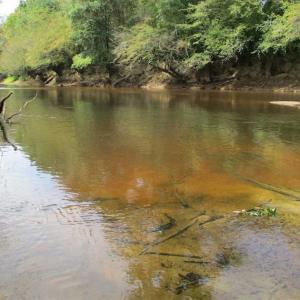Photo of SOLD!  68 Acres of Riverfront Recreational Land For Sale in King and Queen County VA!