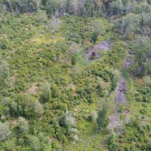 Photo of SOLD!  68 Acres of Riverfront Recreational Land For Sale in King and Queen County VA!