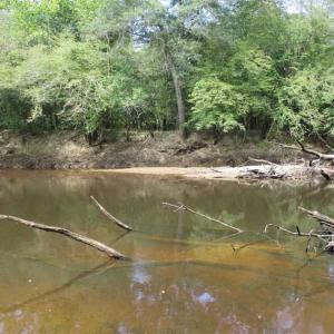 Photo of SOLD!  68 Acres of Riverfront Recreational Land For Sale in King and Queen County VA!