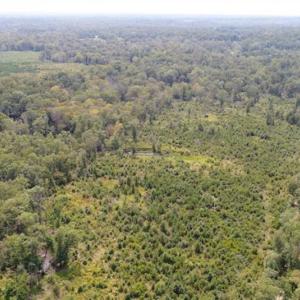 Photo of SOLD!  68 Acres of Riverfront Recreational Land For Sale in King and Queen County VA!