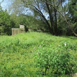 Photo of SOLD!  68 Acres of Riverfront Recreational Land For Sale in King and Queen County VA!