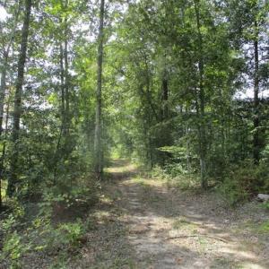 Photo of SOLD!  68 Acres of Riverfront Recreational Land For Sale in King and Queen County VA!