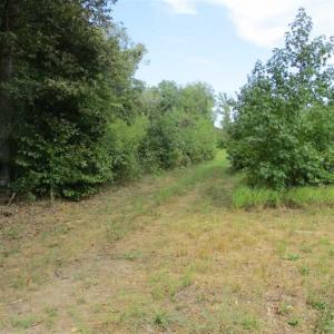 Photo of SOLD!  68 Acres of Riverfront Recreational Land For Sale in King and Queen County VA!