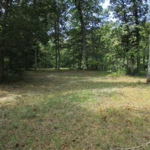 Photo of SOLD!  68 Acres of Riverfront Recreational Land For Sale in King and Queen County VA!