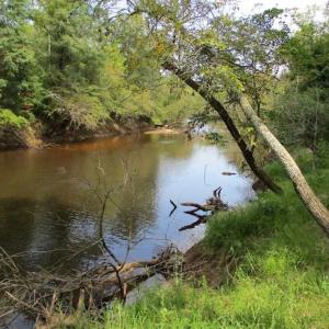 Photo of SOLD!  68 Acres of Riverfront Recreational Land For Sale in King and Queen County VA!