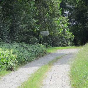 Photo of SOLD!  68 Acres of Riverfront Recreational Land For Sale in King and Queen County VA!