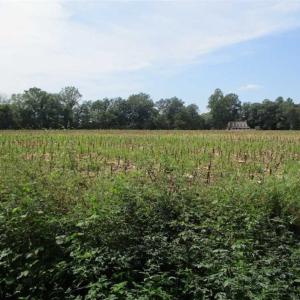 Photo of SOLD!  68 Acres of Riverfront Recreational Land For Sale in King and Queen County VA!