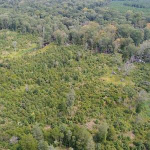Photo of SOLD!  68 Acres of Riverfront Recreational Land For Sale in King and Queen County VA!