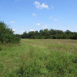 Photo of SOLD!  68 Acres of Riverfront Recreational Land For Sale in King and Queen County VA!