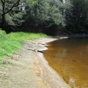 Photo of SOLD!  68 Acres of Riverfront Recreational Land For Sale in King and Queen County VA!