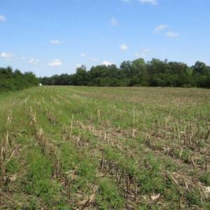 Photo of SOLD!  68 Acres of Riverfront Recreational Land For Sale in King and Queen County VA!