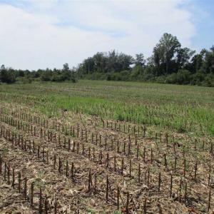 Photo of SOLD!  68 Acres of Riverfront Recreational Land For Sale in King and Queen County VA!