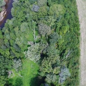 Photo of SOLD!  68 Acres of Riverfront Recreational Land For Sale in King and Queen County VA!
