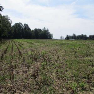 Photo of SOLD!  68 Acres of Riverfront Recreational Land For Sale in King and Queen County VA!