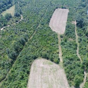 Photo of SOLD!  68 Acres of Riverfront Recreational Land For Sale in King and Queen County VA!