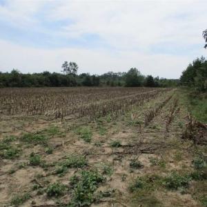 Photo of SOLD!  68 Acres of Riverfront Recreational Land For Sale in King and Queen County VA!