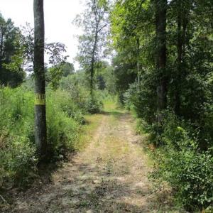 Photo of SOLD!  68 Acres of Riverfront Recreational Land For Sale in King and Queen County VA!