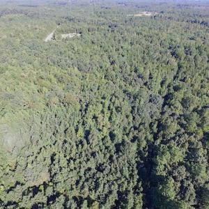 Photo of SOLD!!  8.62 Acres of Hunting and Residential Land For Sale in Lunenburg County VA!