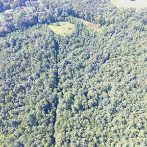Photo of SOLD!!  8.62 Acres of Hunting and Residential Land For Sale in Lunenburg County VA!