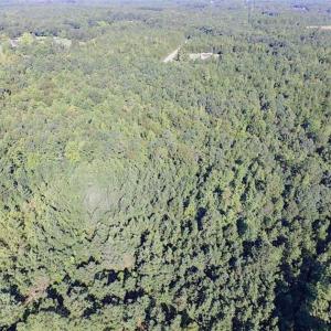 Photo of SOLD!!  8.62 Acres of Hunting and Residential Land For Sale in Lunenburg County VA!