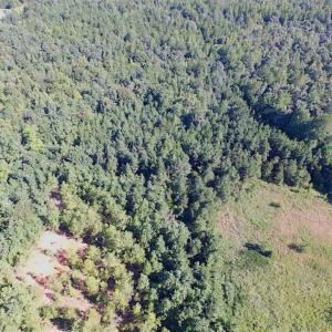 Photo of SOLD!!  8.62 Acres of Hunting and Residential Land For Sale in Lunenburg County VA!