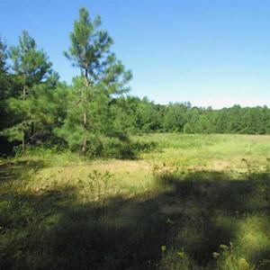 Photo of SOLD!!  8.62 Acres of Hunting and Residential Land For Sale in Lunenburg County VA!