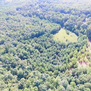 Photo of SOLD!!  8.62 Acres of Hunting and Residential Land For Sale in Lunenburg County VA!