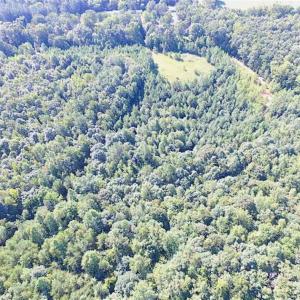 Photo of SOLD!!  8.62 Acres of Hunting and Residential Land For Sale in Lunenburg County VA!