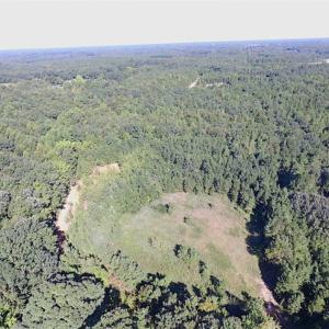 Photo of SOLD!!  8.62 Acres of Hunting and Residential Land For Sale in Lunenburg County VA!