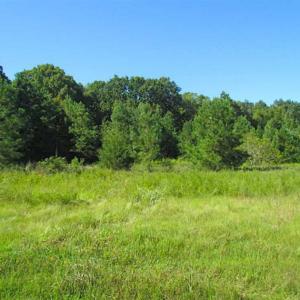 Photo of SOLD!!  8.62 Acres of Hunting and Residential Land For Sale in Lunenburg County VA!