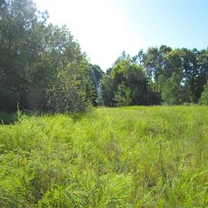 Photo of SOLD!!  8.62 Acres of Hunting and Residential Land For Sale in Lunenburg County VA!