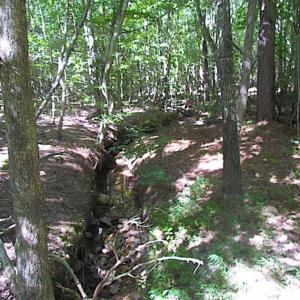 Photo of SOLD!!  8.62 Acres of Hunting and Residential Land For Sale in Lunenburg County VA!