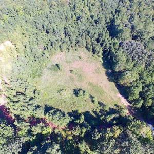 Photo of SOLD!!  8.62 Acres of Hunting and Residential Land For Sale in Lunenburg County VA!