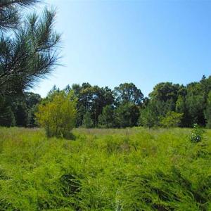 Photo of SOLD!!  8.62 Acres of Hunting and Residential Land For Sale in Lunenburg County VA!