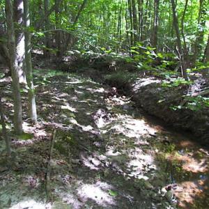 Photo of SOLD!!  8.62 Acres of Hunting and Residential Land For Sale in Lunenburg County VA!