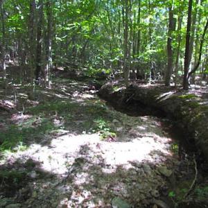 Photo of SOLD!!  8.62 Acres of Hunting and Residential Land For Sale in Lunenburg County VA!