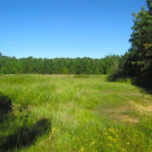 Photo of SOLD!!  8.62 Acres of Hunting and Residential Land For Sale in Lunenburg County VA!