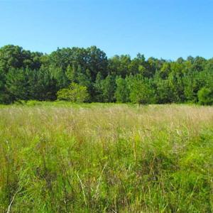Photo of SOLD!!  8.62 Acres of Hunting and Residential Land For Sale in Lunenburg County VA!