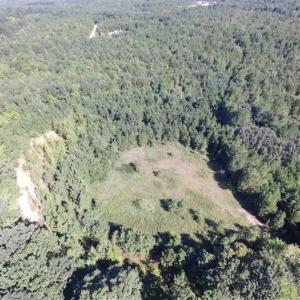 Photo of SOLD!!  8.62 Acres of Hunting and Residential Land For Sale in Lunenburg County VA!