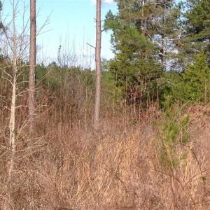 Photo of SOLD!!  54 Acres of Hunting Land for Sale in Halifax County VA!