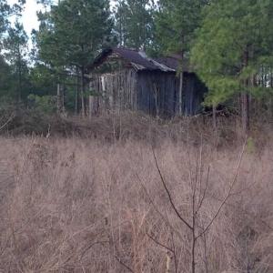 Photo of SOLD!!  54 Acres of Hunting Land for Sale in Halifax County VA!