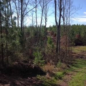 Photo of SOLD!!  54 Acres of Hunting Land for Sale in Halifax County VA!
