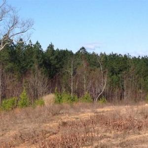 Photo of SOLD!!  54 Acres of Hunting Land for Sale in Halifax County VA!