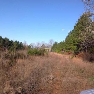 Photo of SOLD!!  54 Acres of Hunting Land for Sale in Halifax County VA!